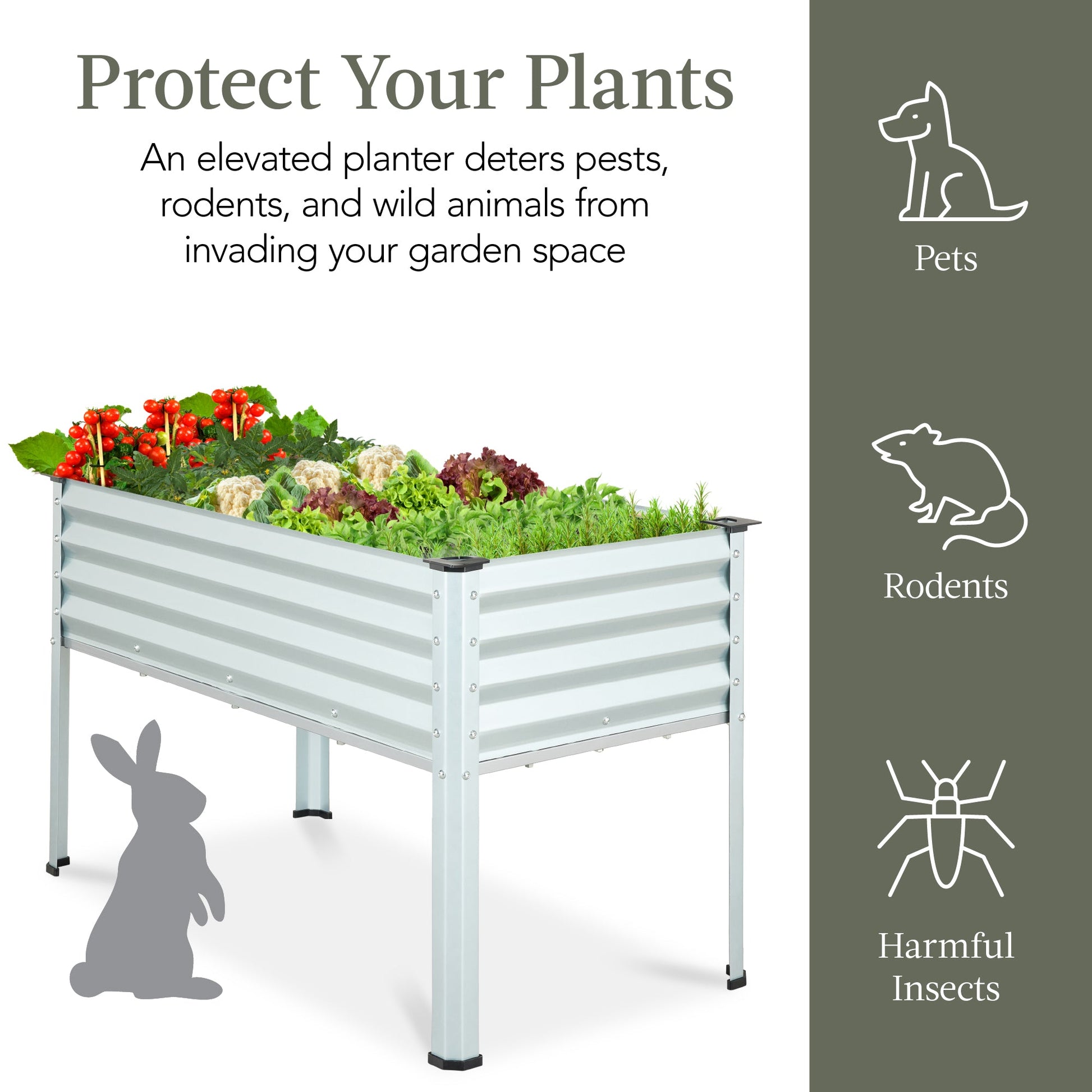 Elevated Galvanized Metal Garden Bed w/ Corner Protectors - 48x24x30in